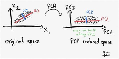 Understanding PCA and t-SNE